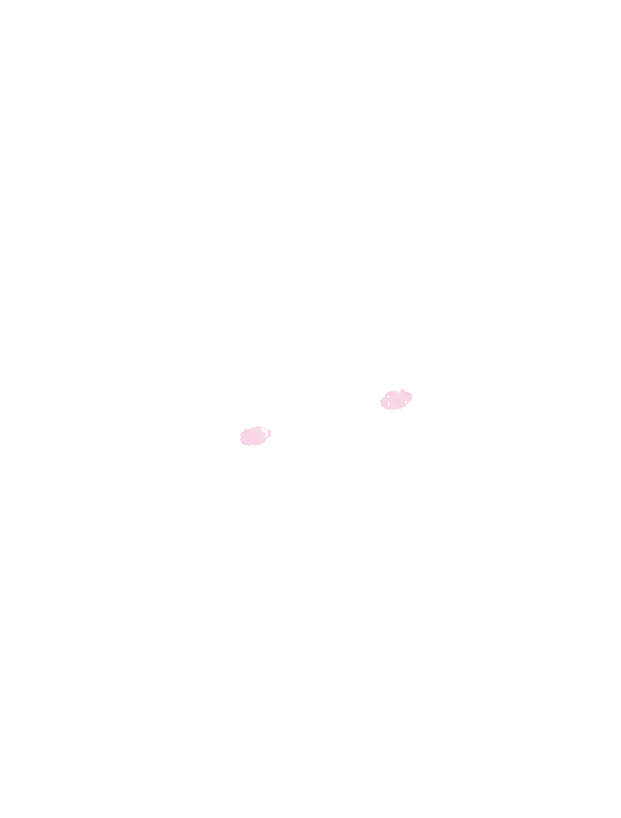 JASSNETのマスコットキャラクター